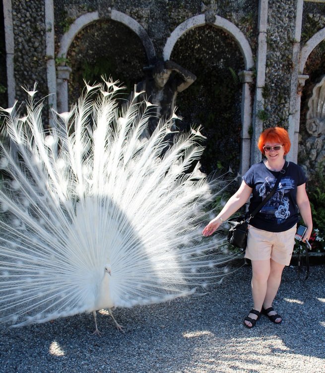 18.06.29_524_ Италия_ о.Изола-Белла.JPG