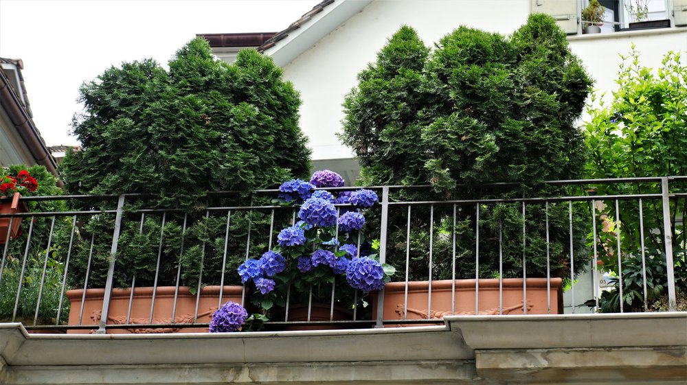 18.06.24_202_  Швейцария_ Цюрих.JPG