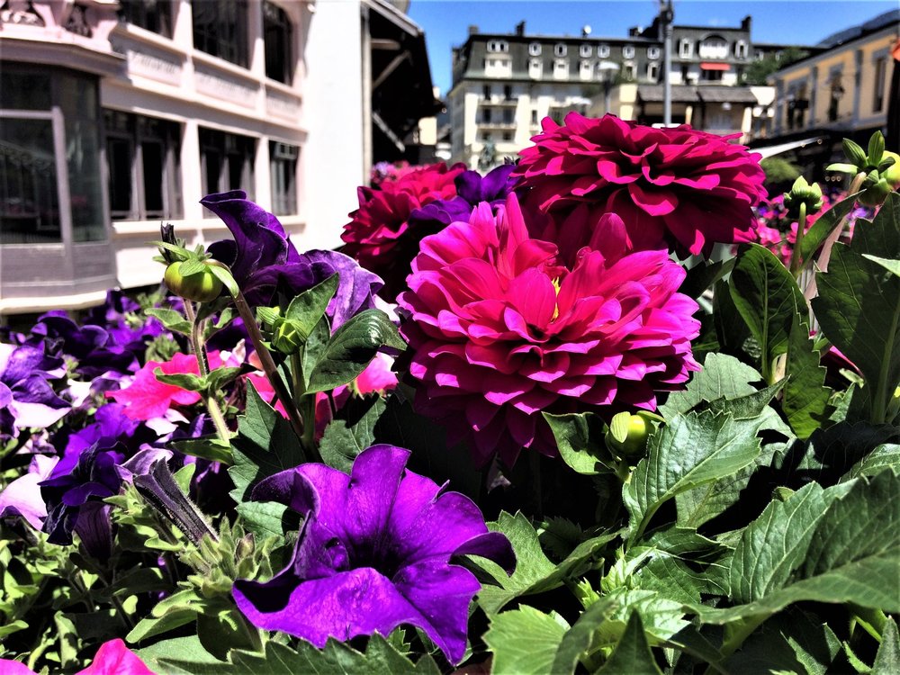 18.06.27_068_ Шамони_Мон-Блан.JPG