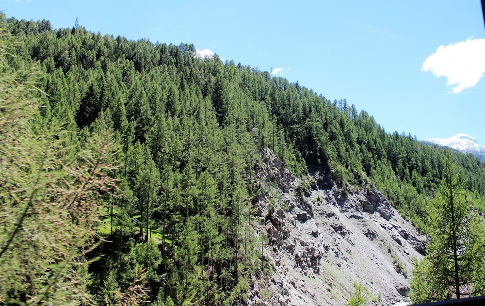 18.06.28_082_ Швейцария_ к Цирматту на поезде.JPG