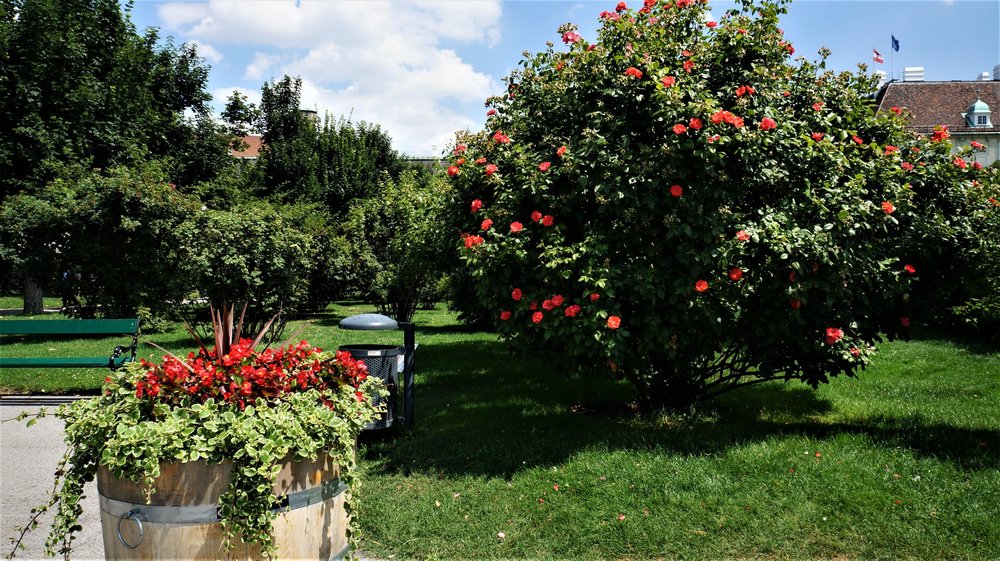 18.06.21_079_ Вена_ Народный парк.JPG