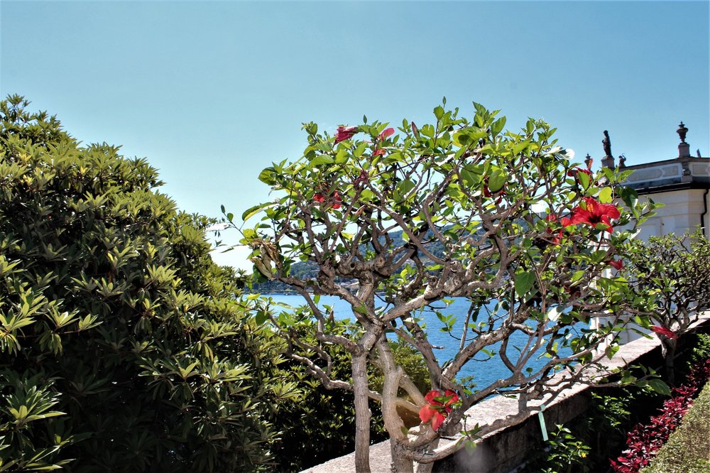 18.06.29_640_ Италия_ о.Изола-Белла.JPG