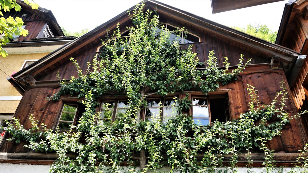 18.06.22_088_  Хальштатт.JPG