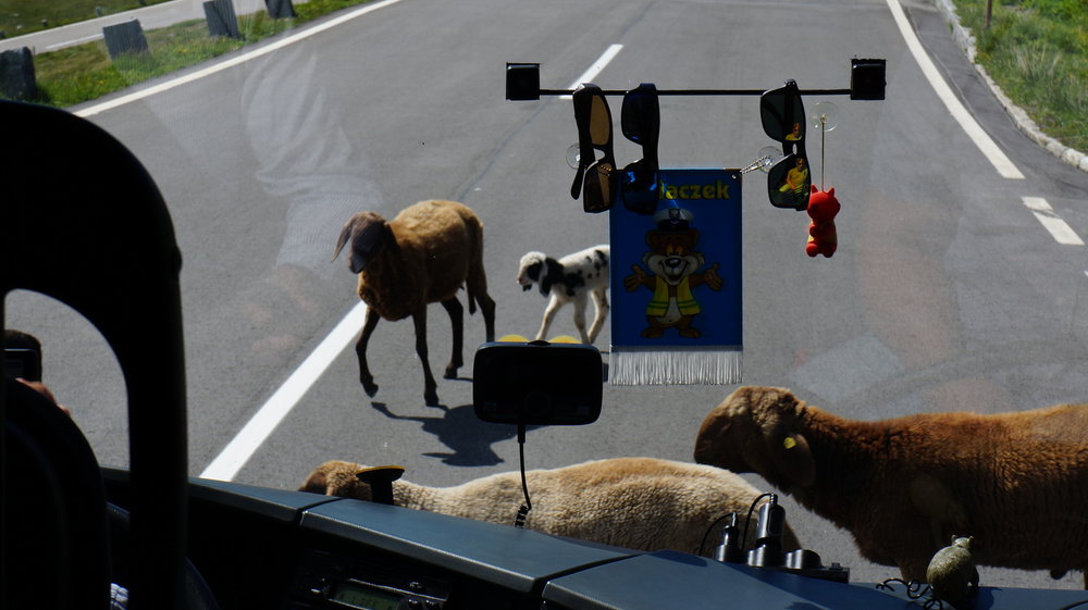 18.06.23_043_ дорога Гросглоккнер.JPG