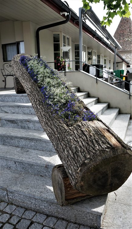 18.06.24_117_  Швейцария_ Рейнский водопад.JPG