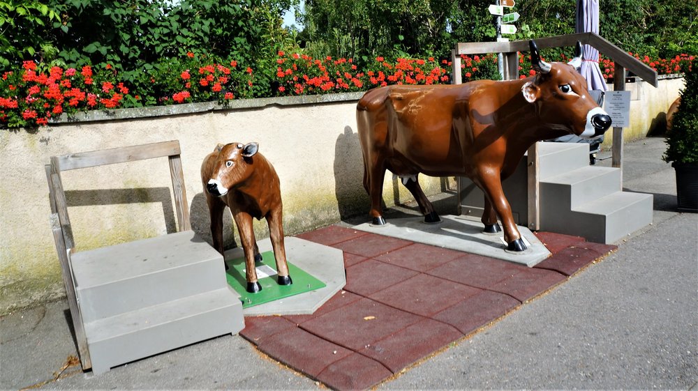 18.06.24_032_  Швейцария_ Рейнский водопад.JPG