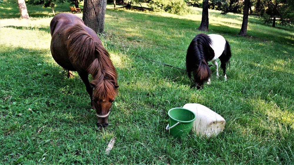 18.06.21_072_ Брно.JPG