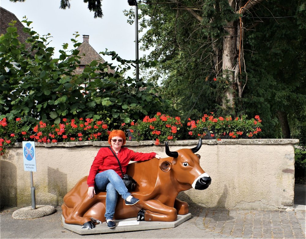 18.06.24_124_  Швейцария_ Рейнский водопад.JPG