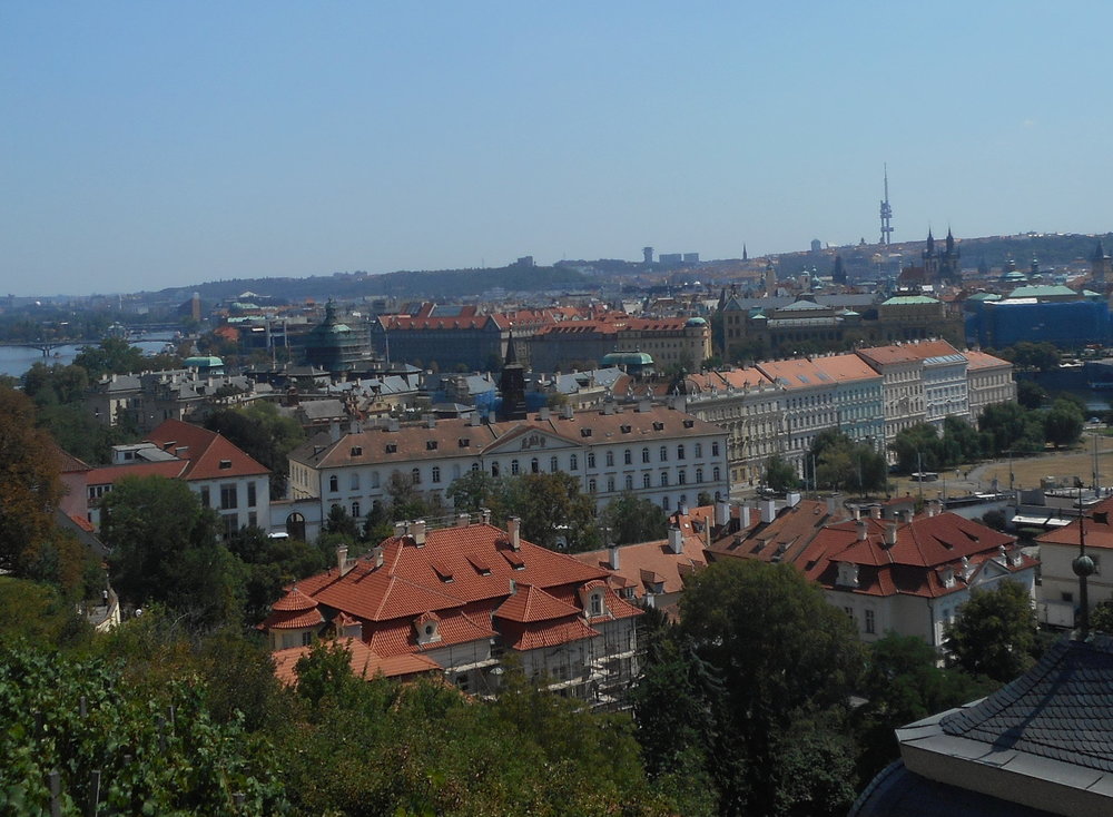 DSCN1903 - копия - копия.JPG