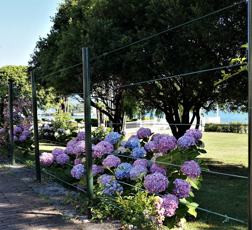 18.06.29_115_ Италия_Стреза.JPG