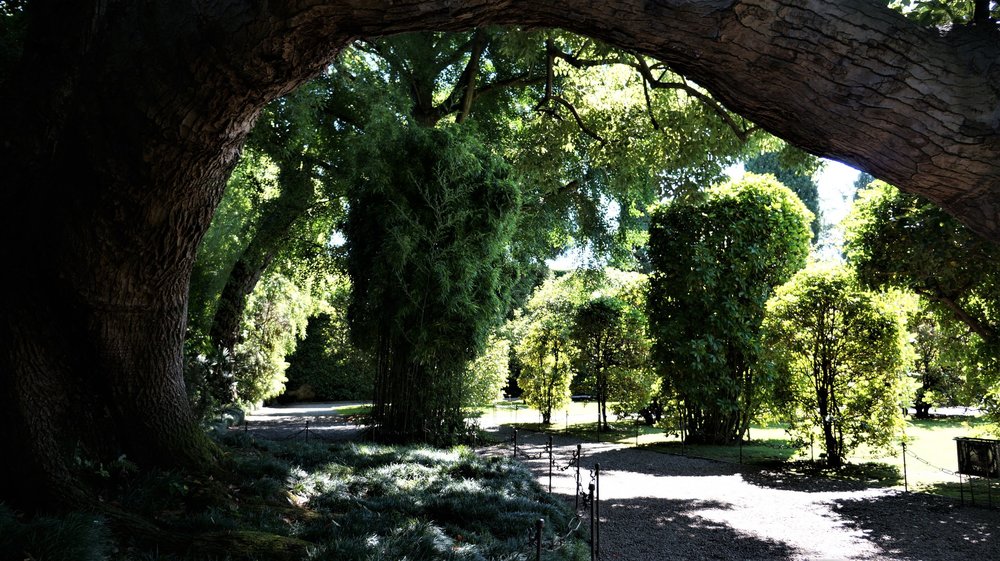 18.06.29_472_ Италия_ о.Изола-Белла_.JPG