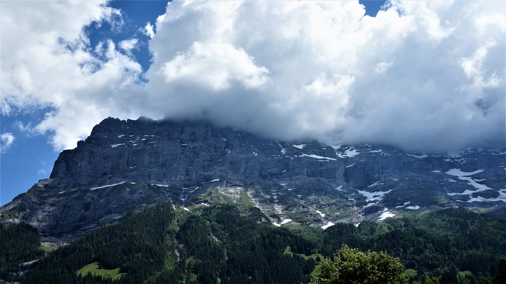 18.06.25_277_ с Юнграуйох вниз в Интерлакен.JPG