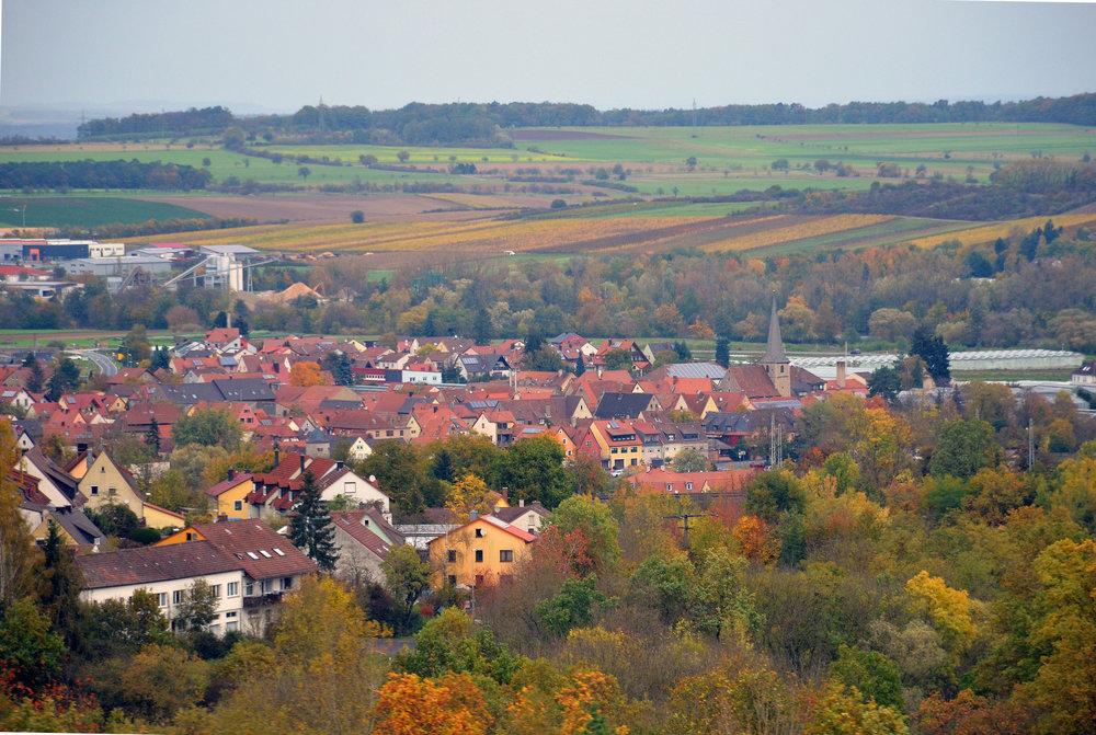 DSC_8311 — копия.JPG