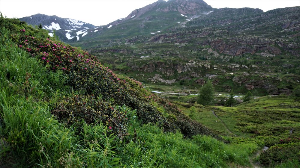 18.06.28_057_ перевал Симплон.JPG