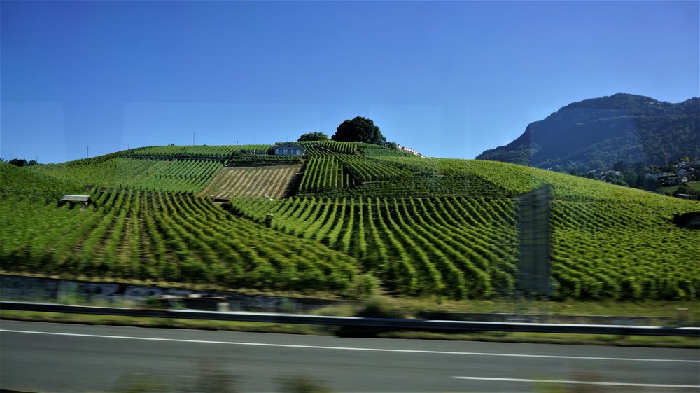 18.06.28_007_к г.Вильнев.JPG