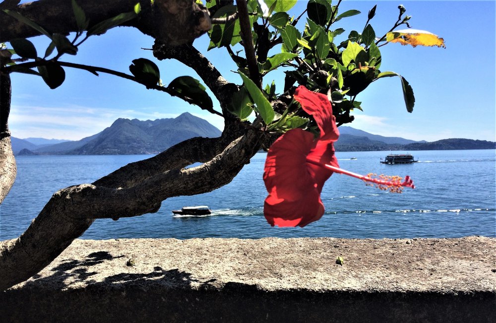 18.06.29_647_ Италия_ о.Изола-Белла.JPG