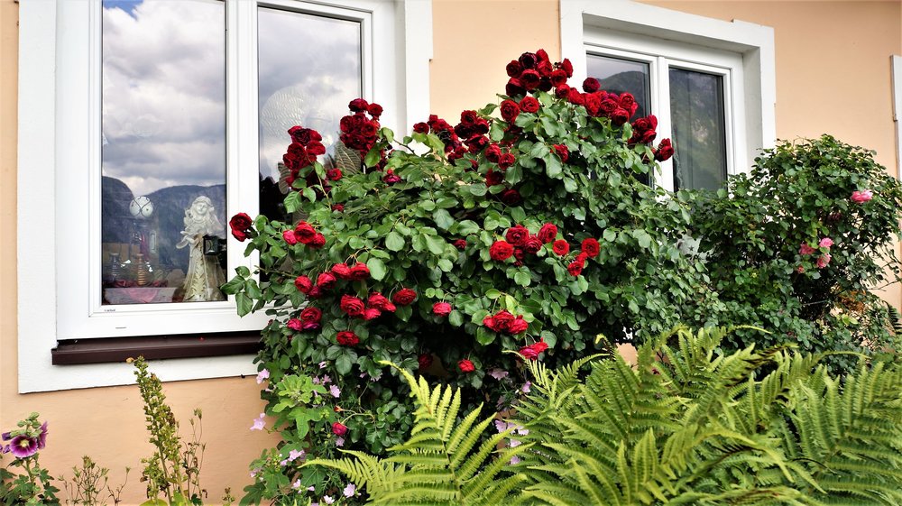 18.06.22_079_  Хальштатт.JPG