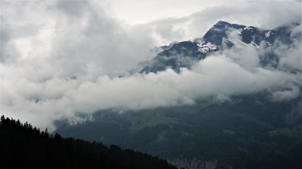 18.06.25_042_  перевол Брюнек (Золотой).JPG