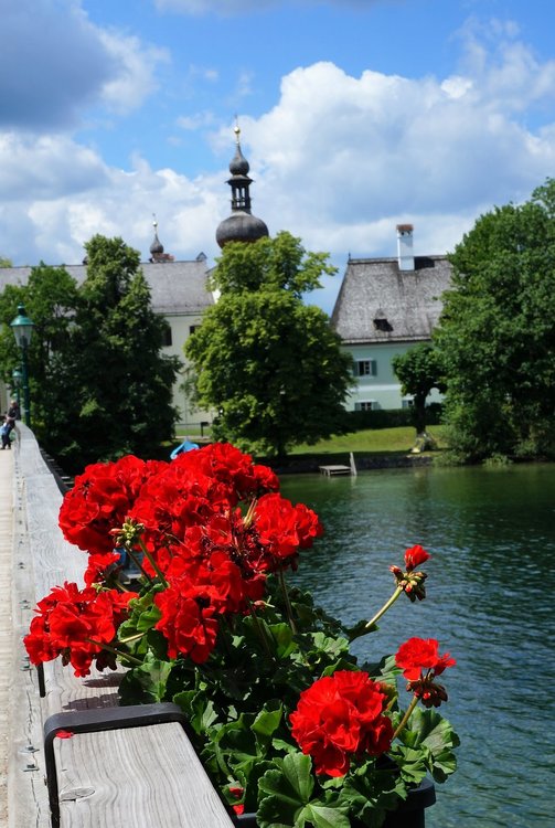 18.06.22_055_ Гмунден_ Озерный замок Орт (Seeschloss Ort).JPG