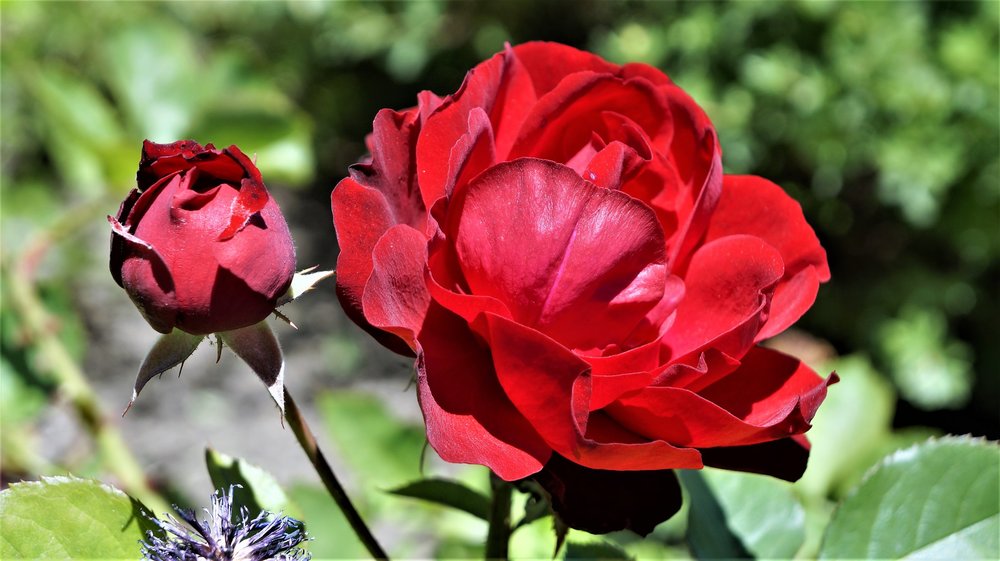 18.06.27_386_ Шамони.JPG