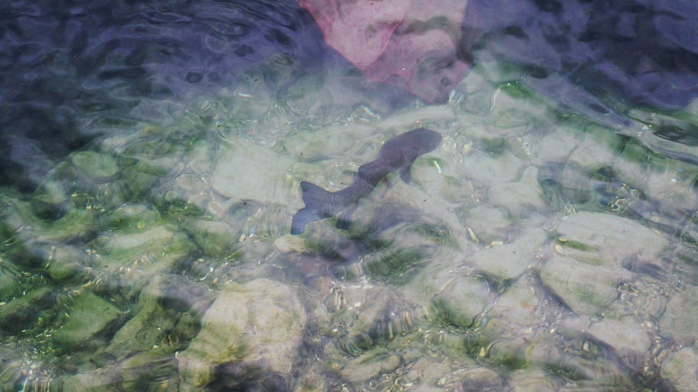 18.06.24_381_  Швейцария_ Люцерн.JPG