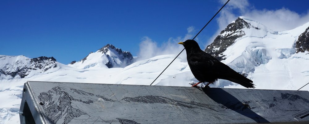 18.06.25_141_ Смотровая площадка Сфинкс.JPG