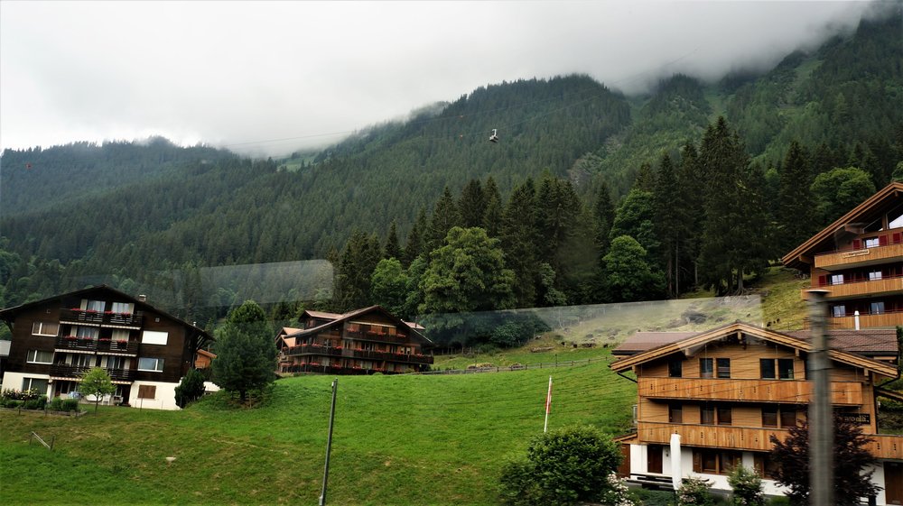 18.06.25_038_  перевол Брюнек (Золотой).JPG