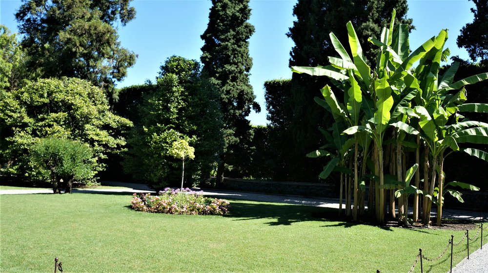 18.06.29_593_ Италия_ о.Изола-Белла.JPG