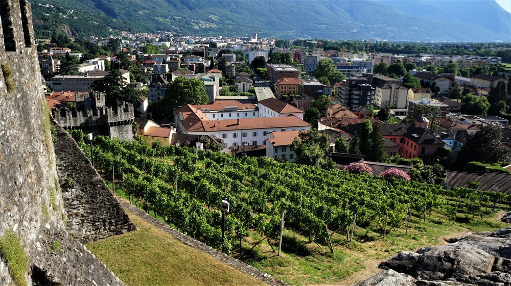 18.06.29_088_ Беллинцона.JPG