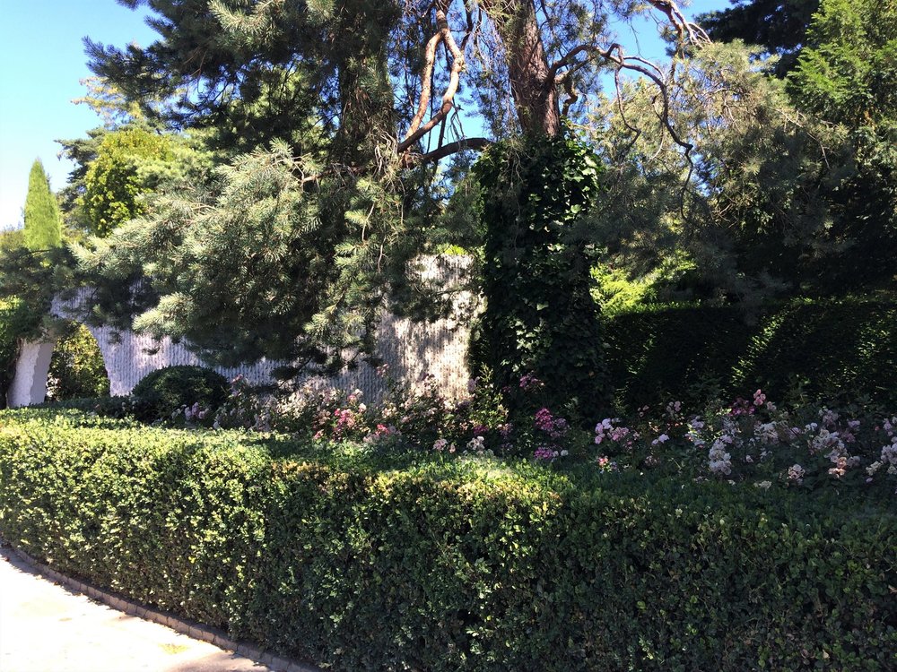 18.06.26_275_ Лозанна_ олимпийский парк.JPG