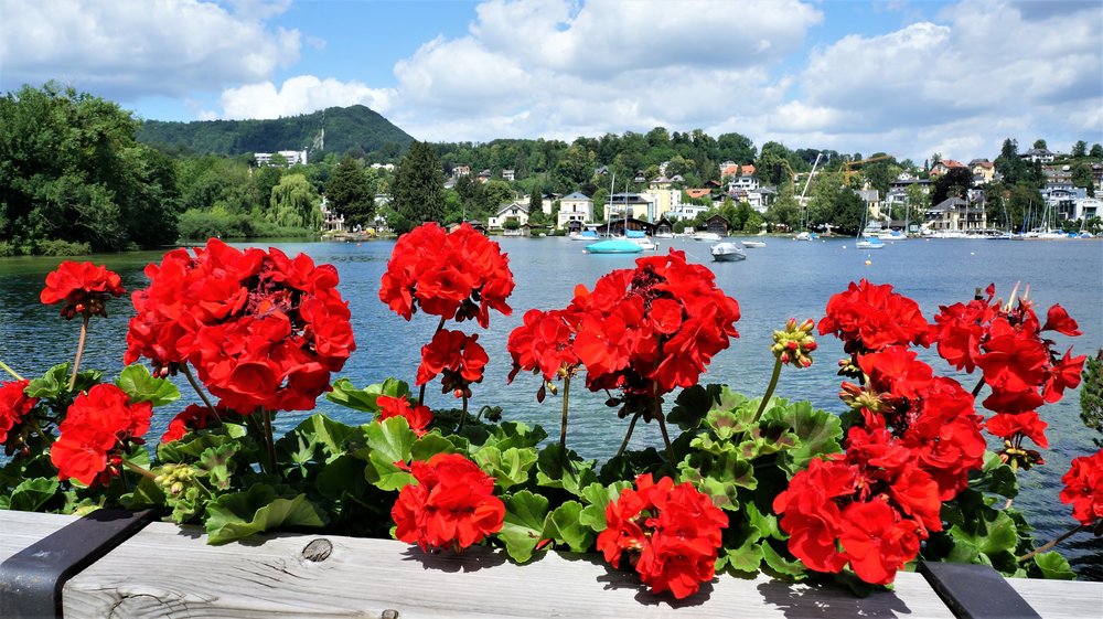 18.06.22_056_ Гмунден_ Озерный замок Орт (Seeschloss Ort).JPG