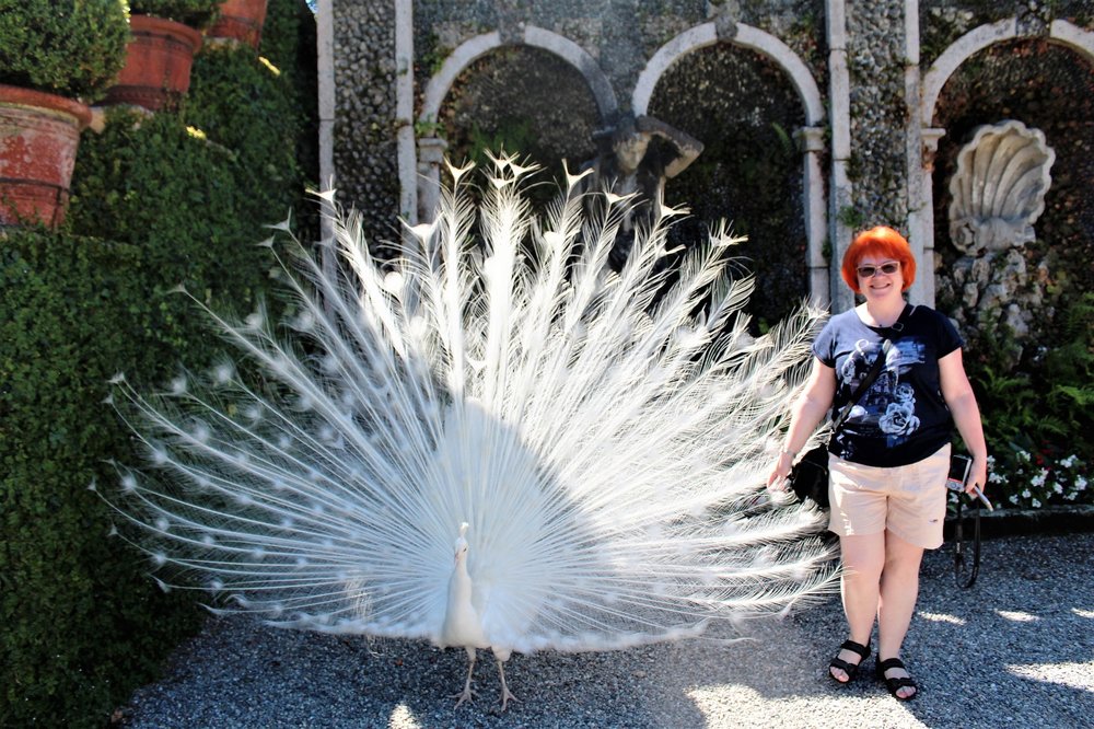 18.06.29_525_ Италия_ о.Изола-Белла.JPG