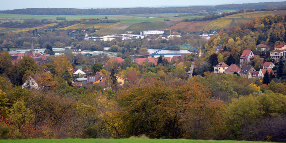 DSC_8313 — копия — копия.JPG