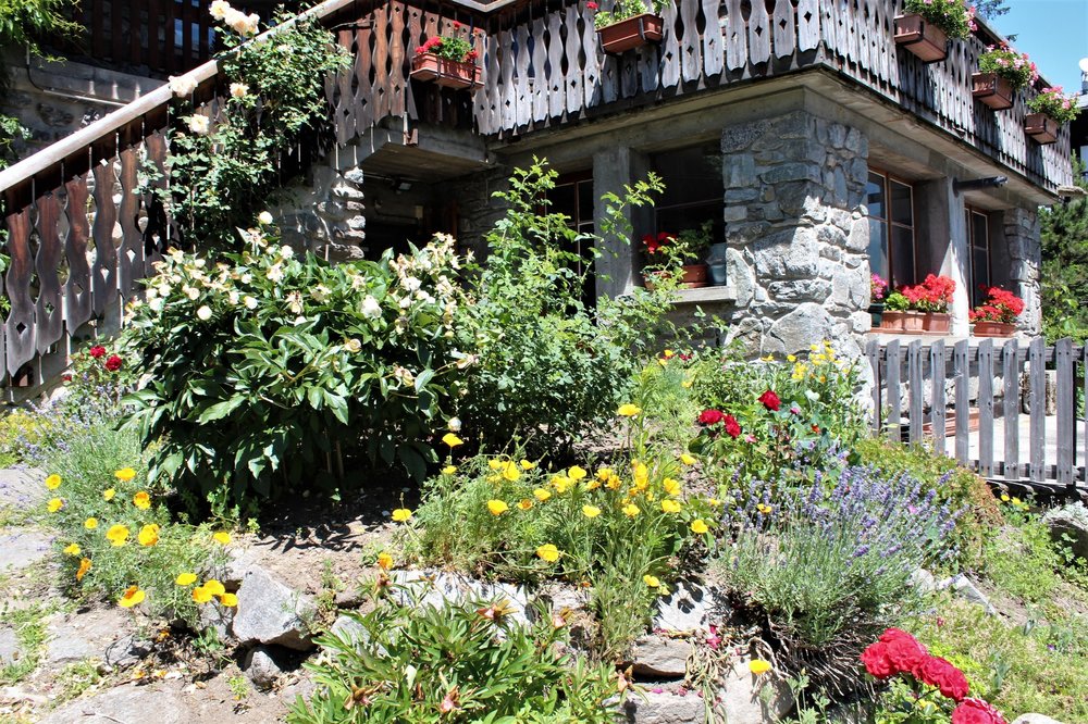 18.06.27_383_ Шамони.JPG