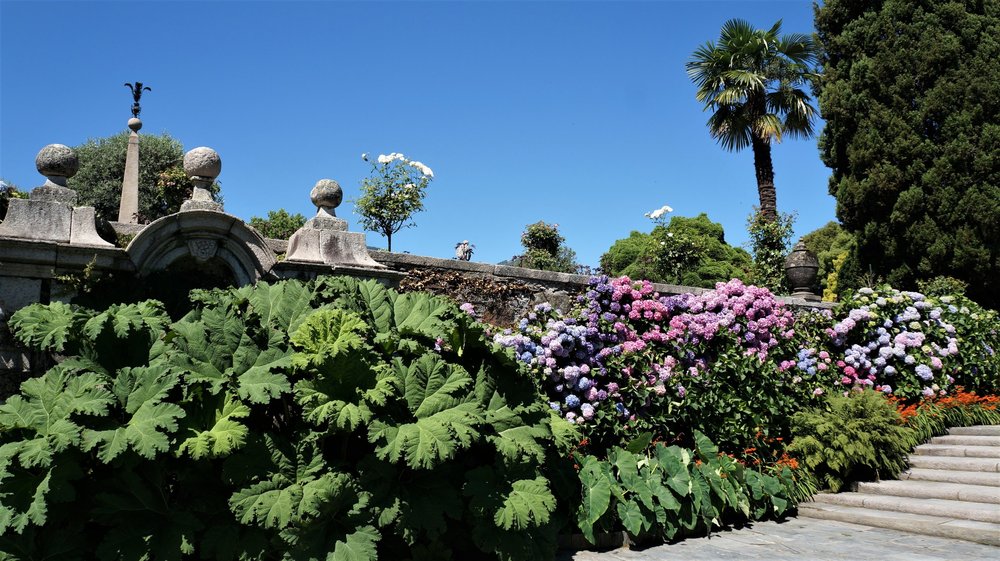 18.06.29_607_ Италия_ о.Изола-Белла.JPG