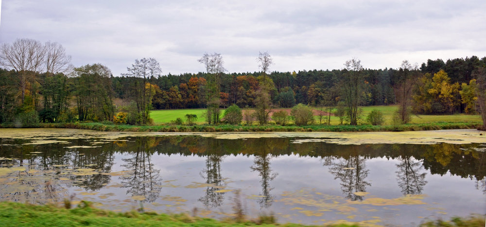 DSC_8373 — копия — копия.JPG