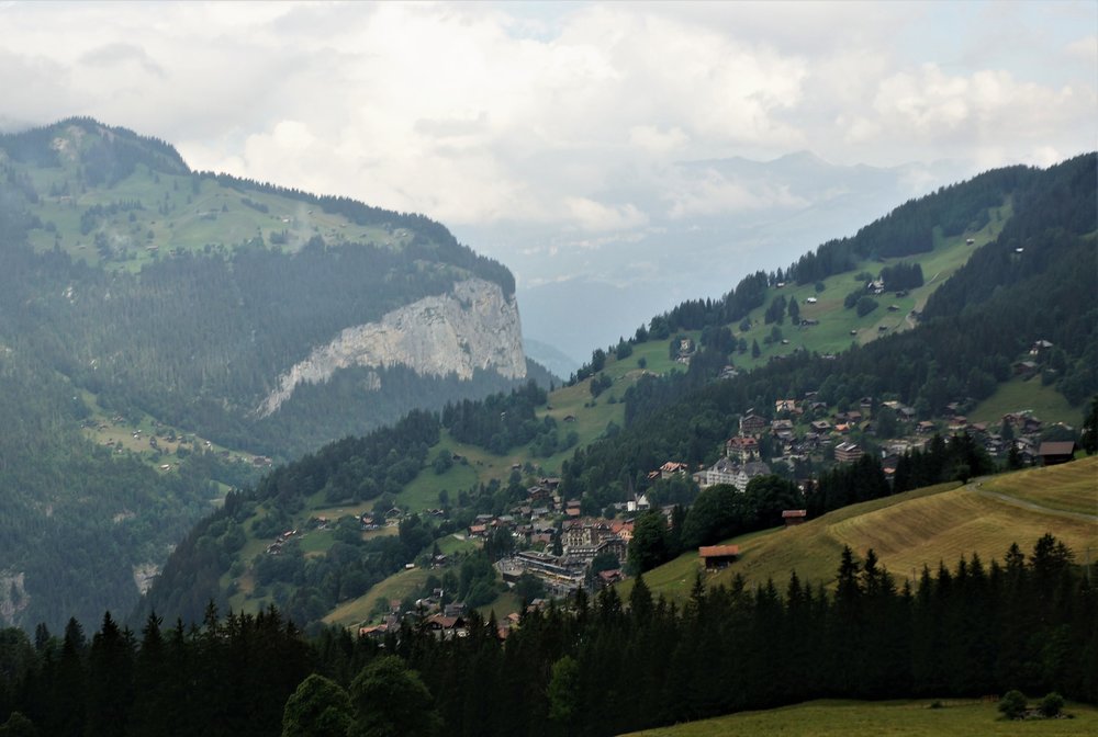 18.06.25_039_  перевол Брюнек (Золотой).JPG