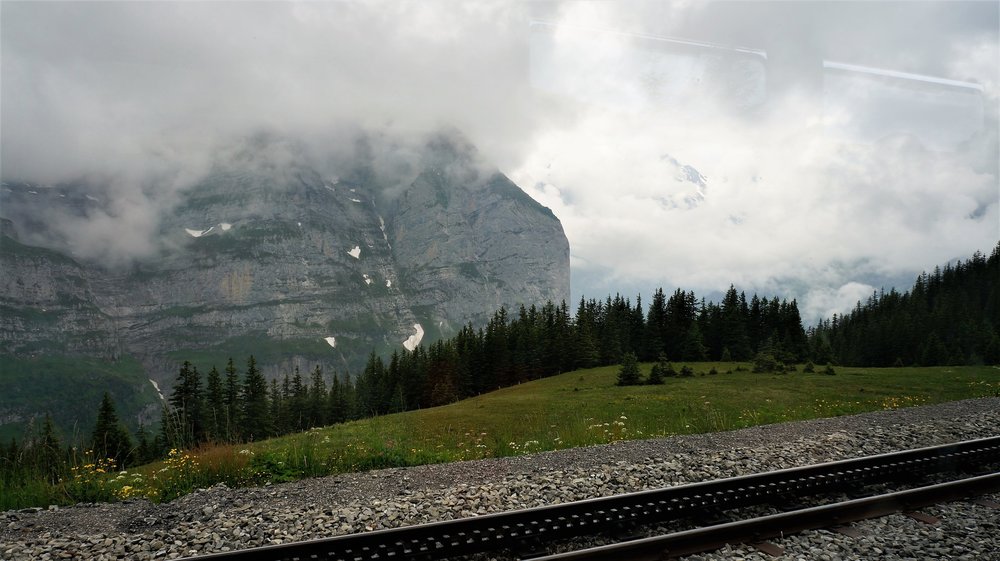 18.06.25_045_  перевол Брюнек (Золотой).JPG