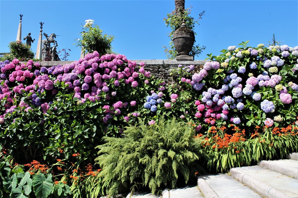 18.06.29_606_ Италия_ о.Изола-Белла.JPG