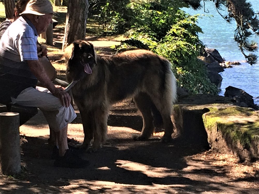 18.06.28_136_Шильонский замок.JPG