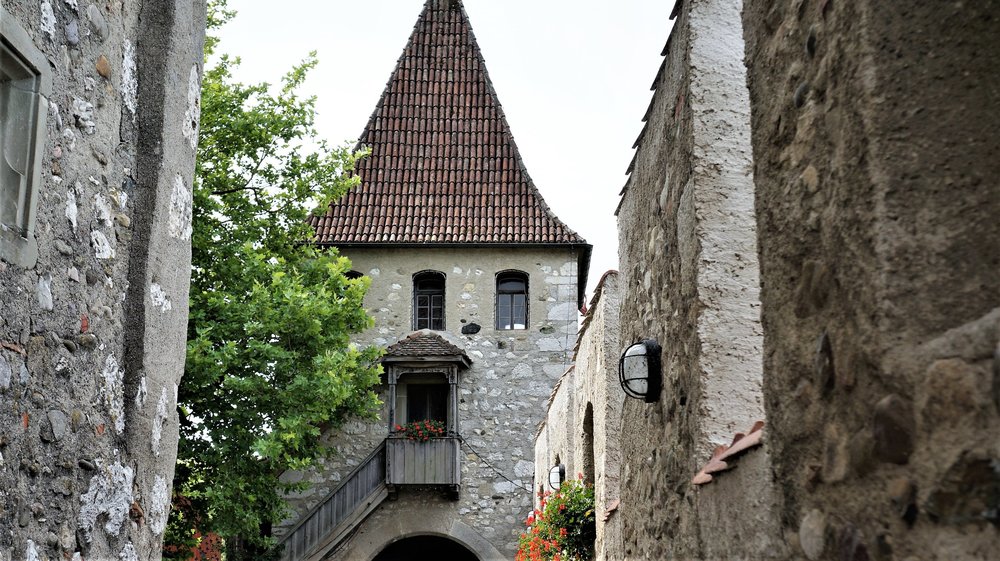 18.06.24_115_  Швейцария_ Рейнский водопад.JPG