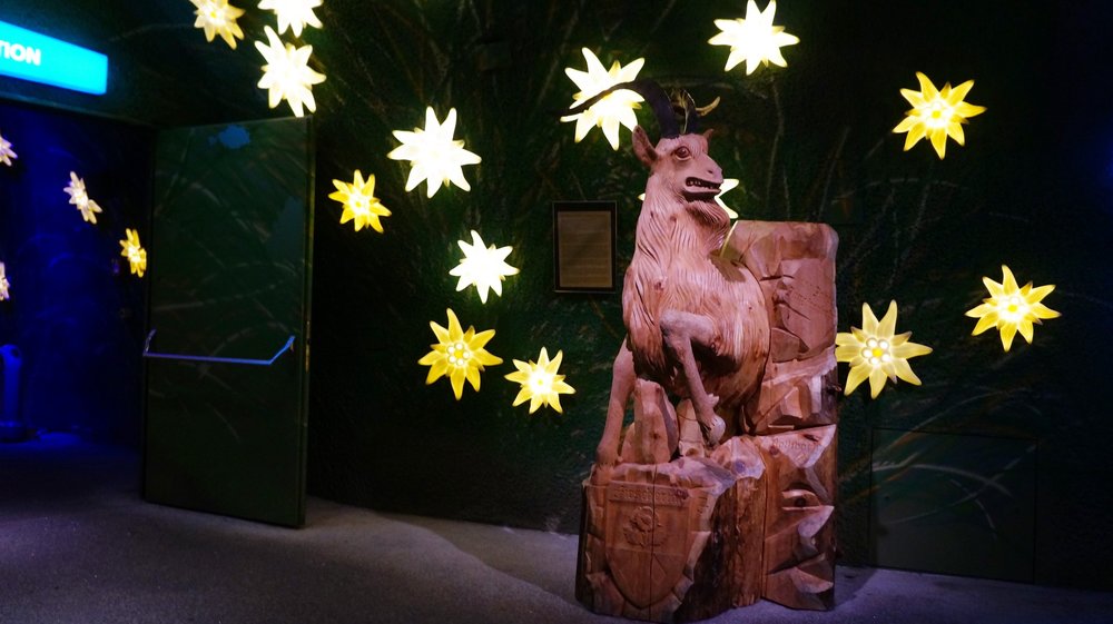 18.06.25_159_ на Юнграуйох.JPG