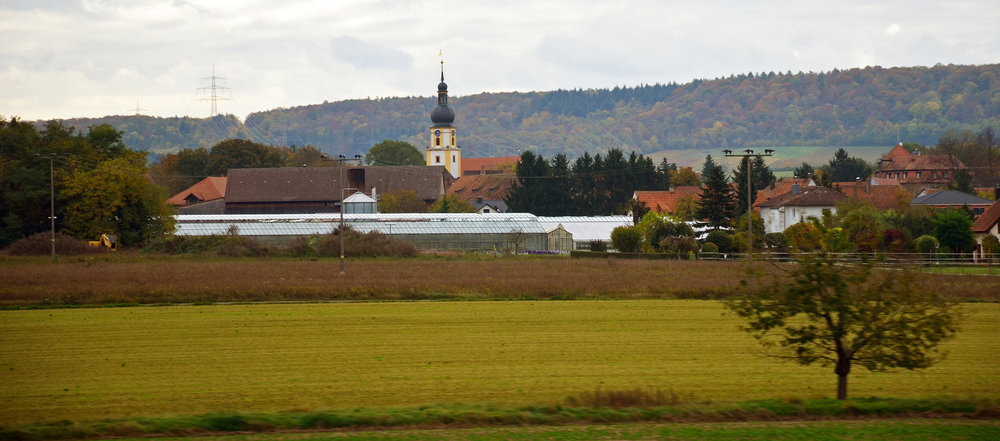 DSC_8353 — копия — копия.JPG