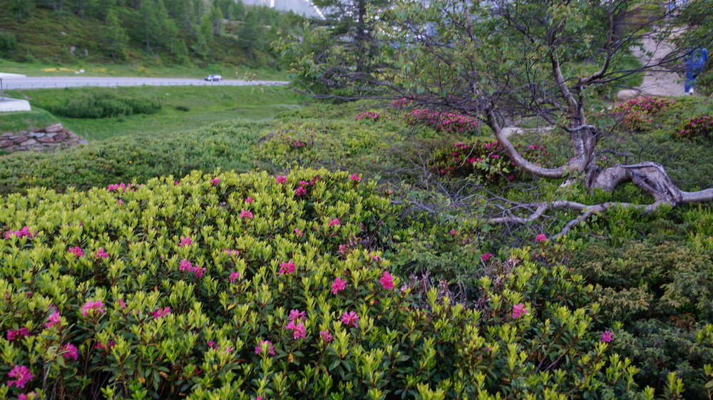 18.06.28_056_ перевал Симплон.JPG