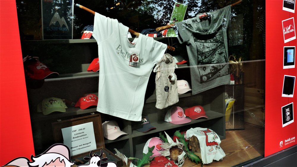 18.06.24_022_  Швейцария_ Рейнский водопад.JPG