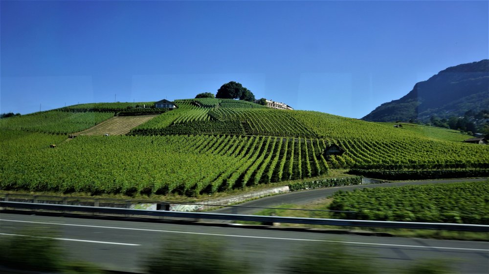 18.06.28_008_к г.Вильнев.JPG