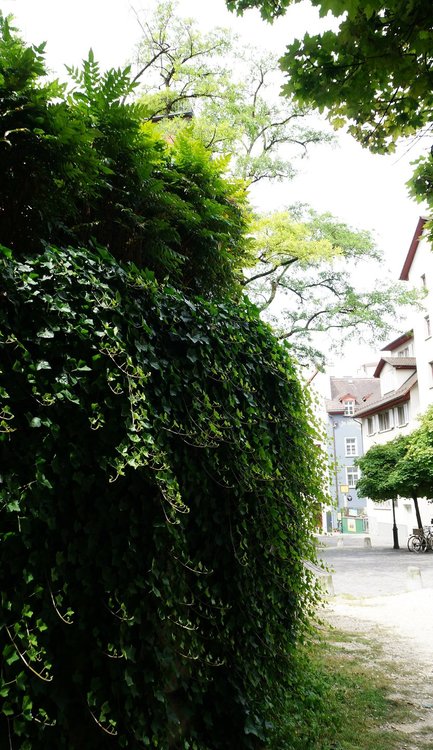 18.06.24_215_  Швейцария_ Цюрих.JPG