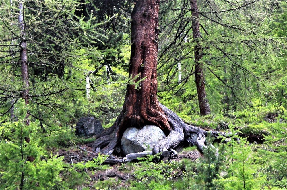 18.06.28_026_ Швейцария_ Горнерград.JPG