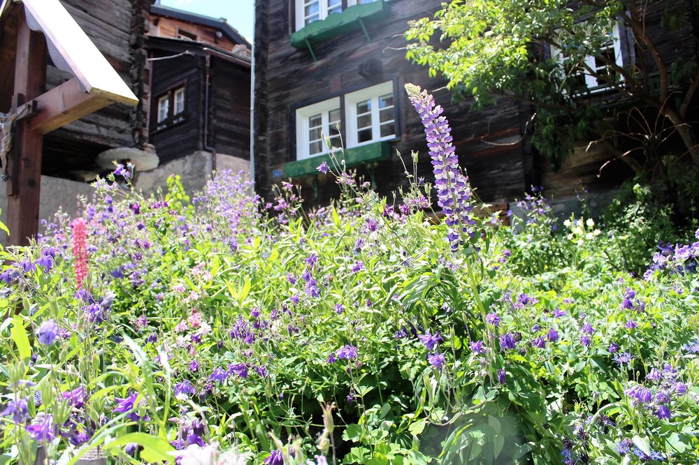 18.06.28_157_ Швейцария_  Цирматт.JPG