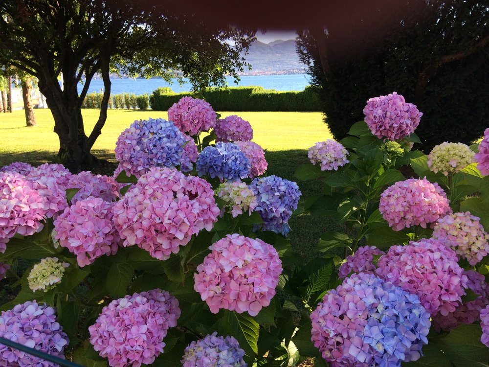 18.06.29_117_ Италия_Стреза.JPG